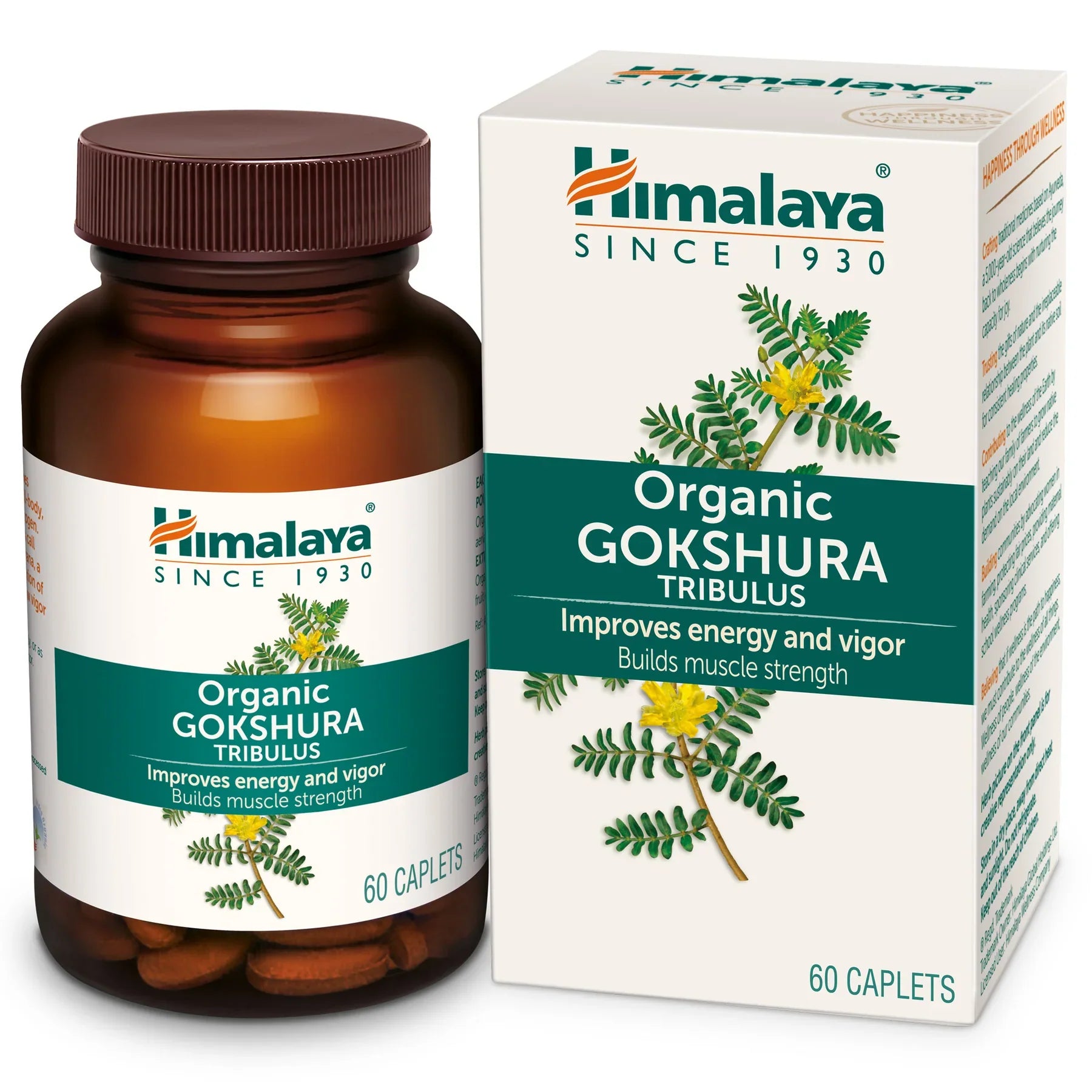 Himalaya Gokshura 60 Tab - Apna Indian Bazaar
