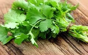 Green Corriander leaves  1Pcs - Apna Indian Bazaar