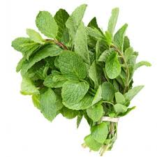 Fresh Mint leaves  1Pcs - Apna Indian Bazaar
